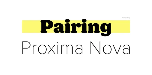 Proxima Nova Font Pairing: Our Favorite Fonts